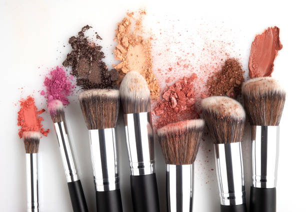 Different Types Of Makeup Brushes & Their Uses