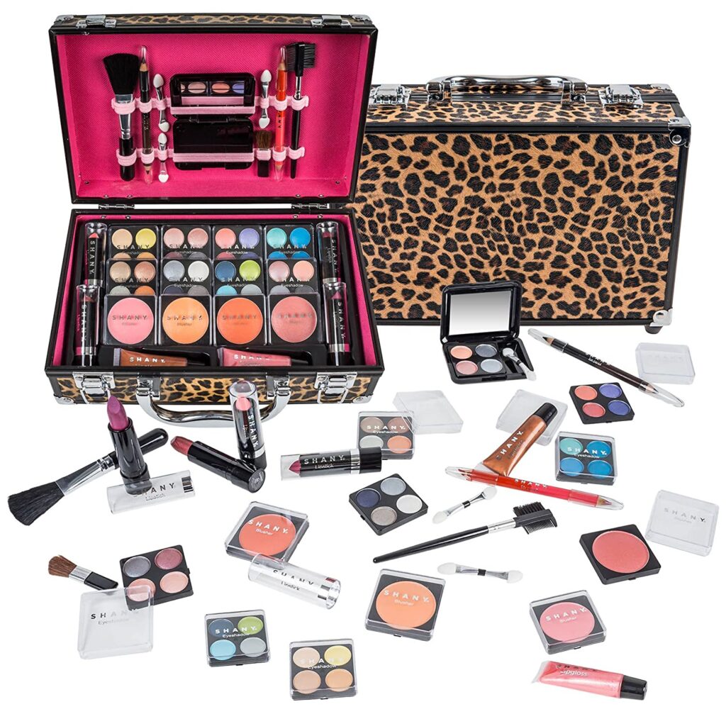 SHANY Carry All Makeup Train Case 