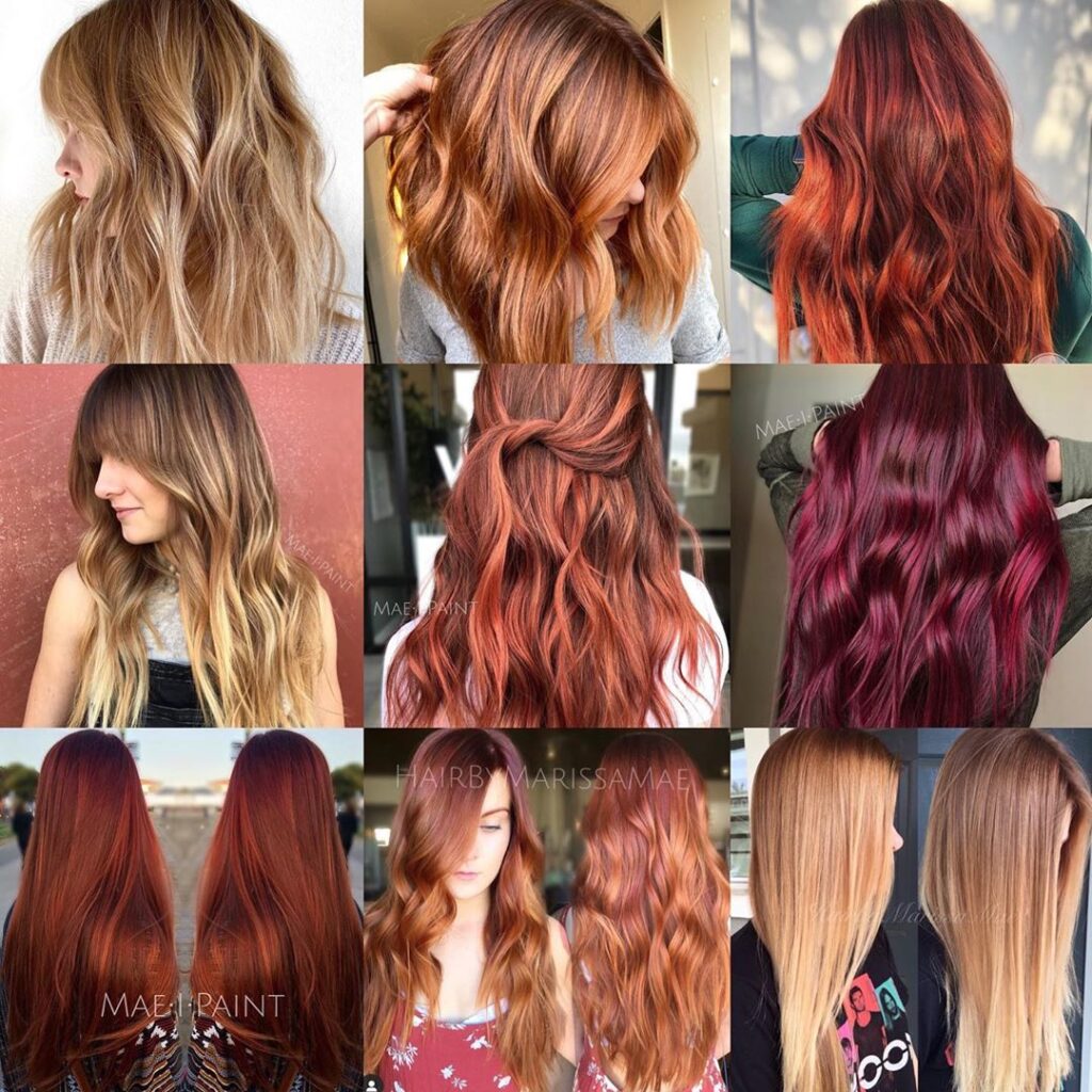 all hair colors chart