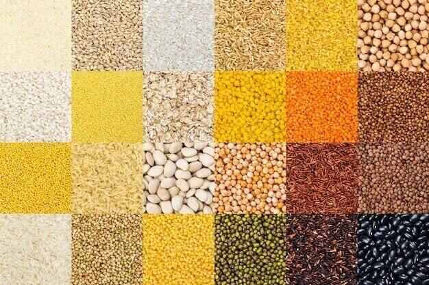 different whole grains set