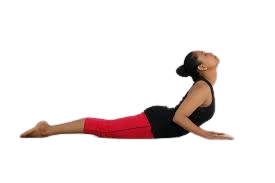 Cobra Pose (Bhujangasana)