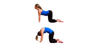 Cat-Cow Pose (Marjaryasana-Bitilasana)