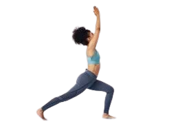 Warrior I (Virabhadrasana I)